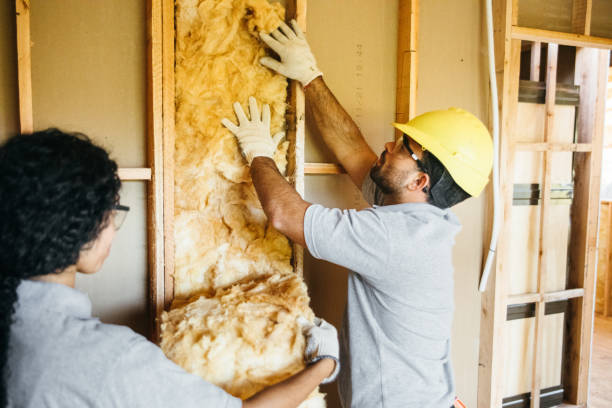 Best Insulation for New Construction  in Carrollton, OH